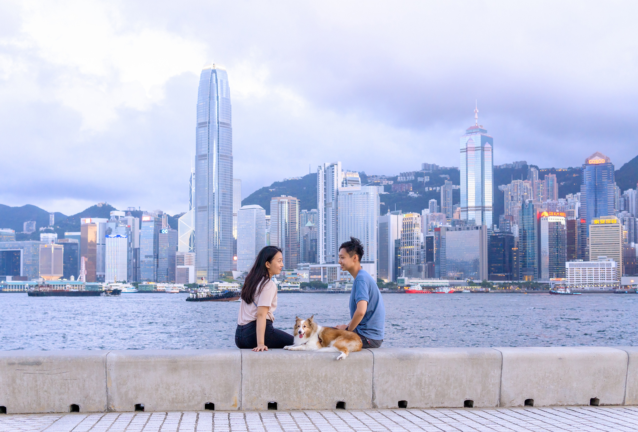 Why West Kowloon is perfect for pets